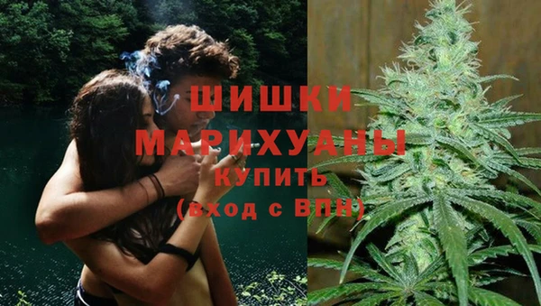 СК Касимов