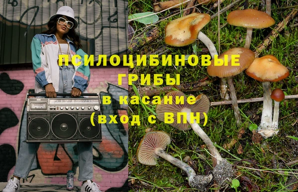 СК Касимов
