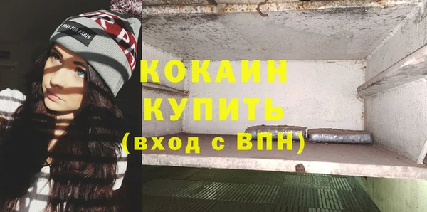 СК Касимов