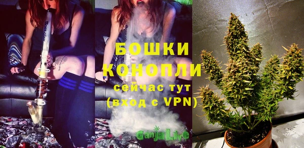 СК Касимов