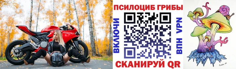 Псилоцибиновые грибы прущие грибы  Купить  Саров 
